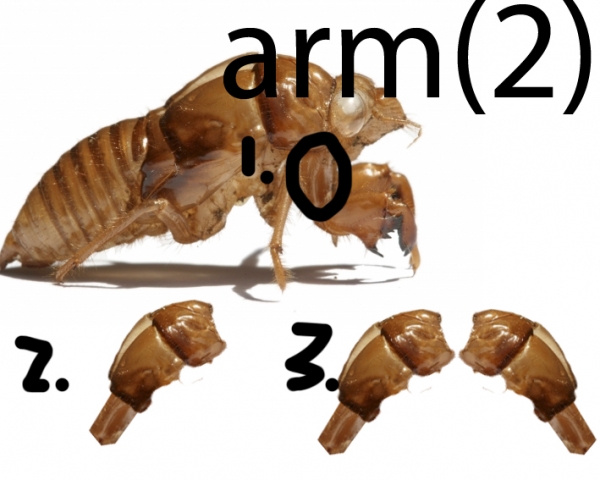 Creation of Robot fly! (updated): Step 12